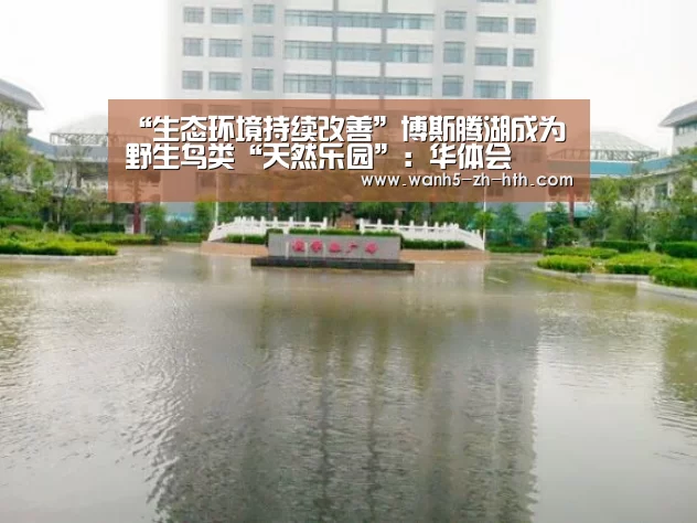 “生态环境持续改善”博斯腾湖成为野生鸟类“天然乐园”:华体会(图3) 华体会app