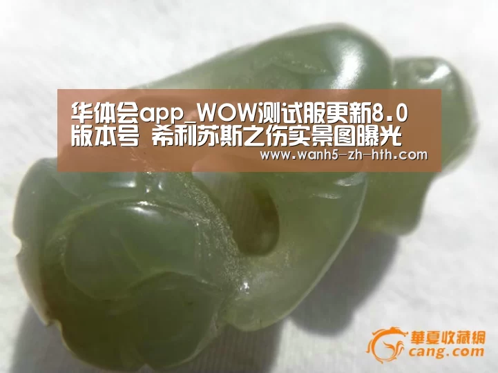 华体会app_WOW测试服更新8.0版本号 希利苏斯之伤实景图曝光(图2) 华体会