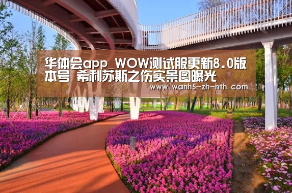 华体会app_WOW测试服更新8.0版本号 希利苏斯之伤实景图曝光(图3) 华体会app