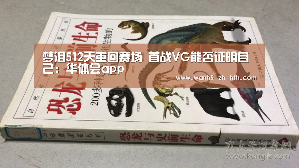梦泪512天重回赛场 首战VG能否证明自己:华体会app(图2) 华体会