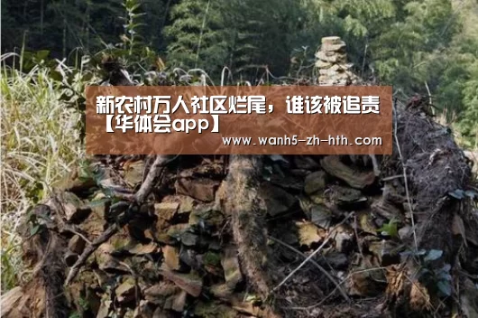 新农村万人社区烂尾,谁该被追责【华体会app】(图2) 华体会app